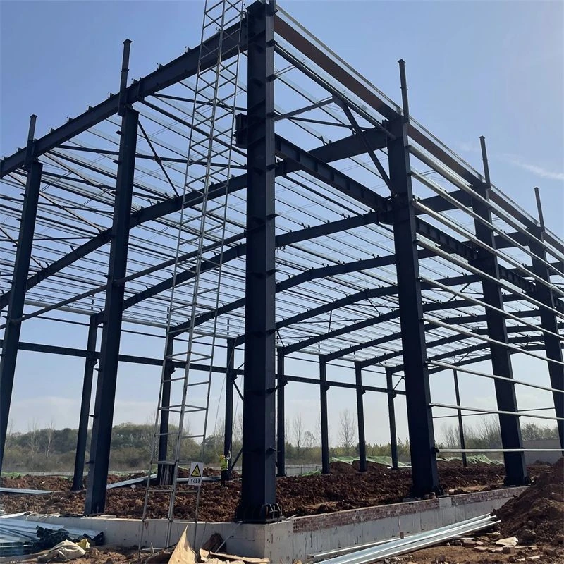 Multi Storey Steel Structure Industrial Warehouse suppliers