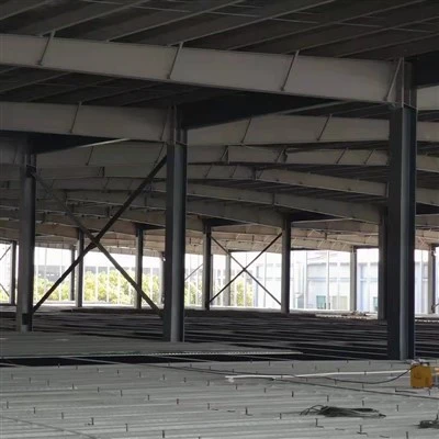 Galvanized Steel Platforms